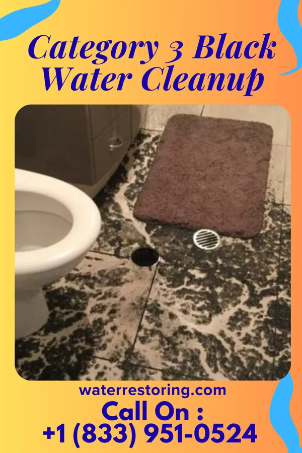 Category 3 Black Water Cleanup in Beaverdam, NV