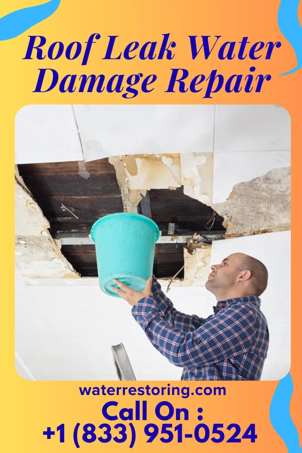 Roof Leak Water Damage Repair in Beaverdam, NV